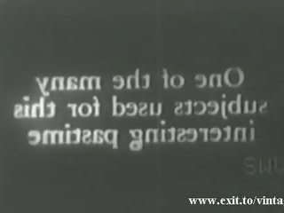 1929 葡萄收获期 同 毛茸茸 凯特 愉快 迪克