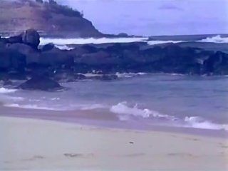 Ghimbir lynn, ron jeremy - surf, sand & sex - o mic pic de hanky panky